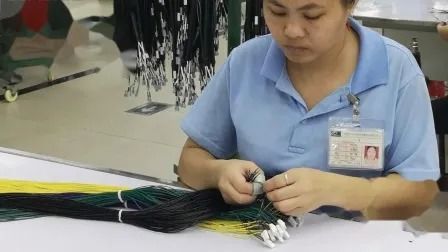 Customized PVC 105ºC 300V Wire Harness Cable Assembly with OEM ODM Service for Vehicle Upgrades